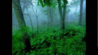 Download lagu Virus J & Justin Xara - Return 2 Innocence mp3 Download lagu Virus J & Justin Xara - Return 2 Innocence mp3