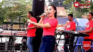 Download lagu PELUKLAH AKU  Rena Kdi  New Coplax ( Ky Ageng Slamet) mp3