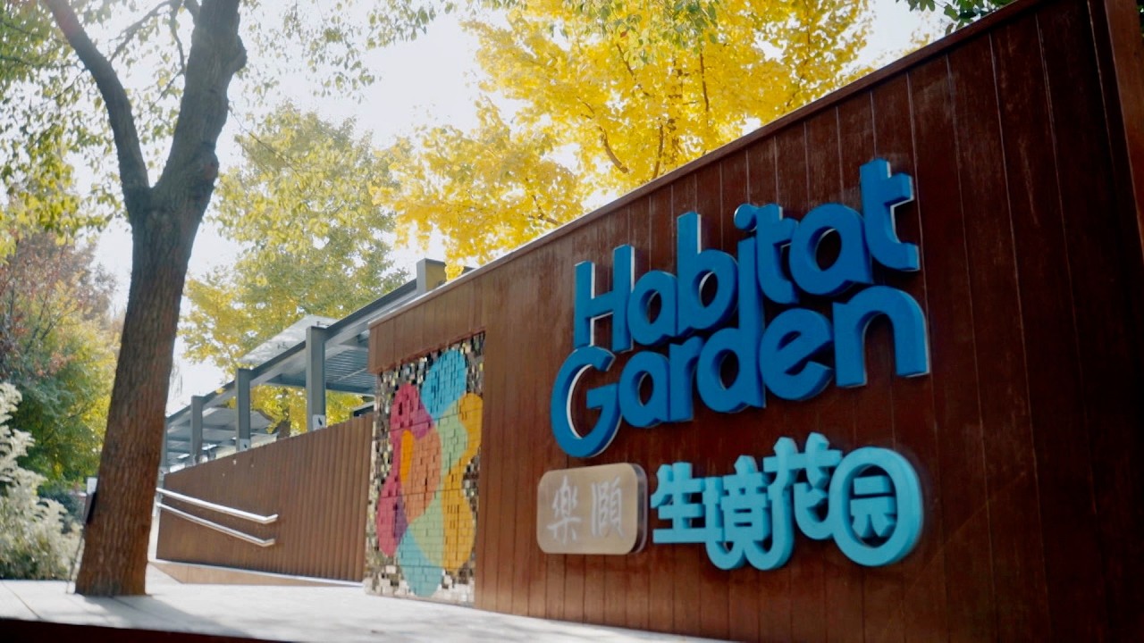 Una China hermosa | Renacimiento ecológico en calles y callejones