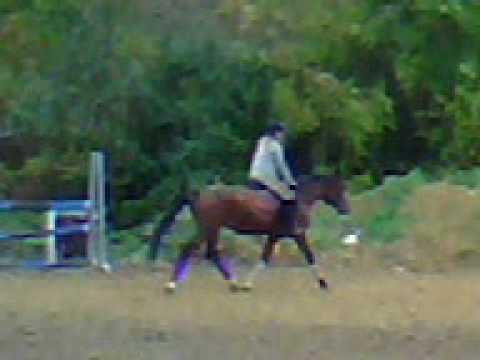 charlotte monte quaprice