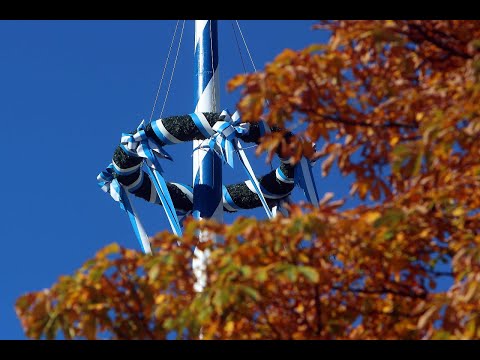 Söders Symbol fast geklaut: Kameras schrecken Maibaumdiebe ab - n-tvde