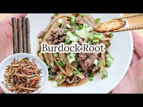 download lagu mp3 mp4 Burdock Soup Recipe, download lagu Burdock Soup Recipe gratis, unduh video klip Burdock Soup Recipe