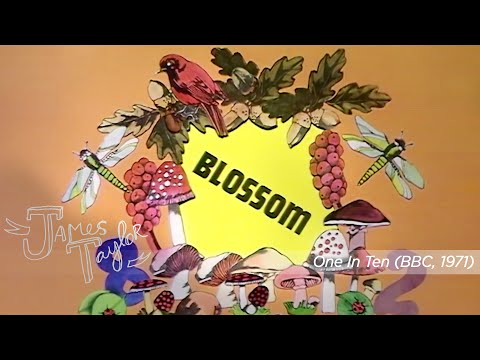 Blossom (One In Ten, 9/8/71)