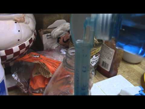 DIY organic garden insect repellent- Dawn soap-cheap,safe