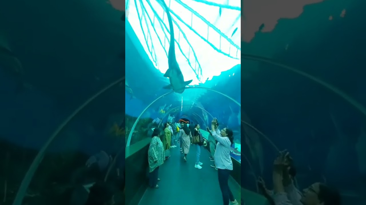 YouTube Short thumbnail