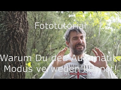 Fototutorial zum Automatikmodus