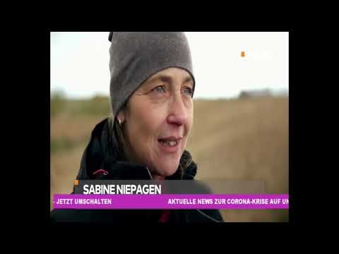 Doku | Historische Militärtechnik | Panzer &Schützenpanzer | Russische Technik im Einsatz | Teil 3v3