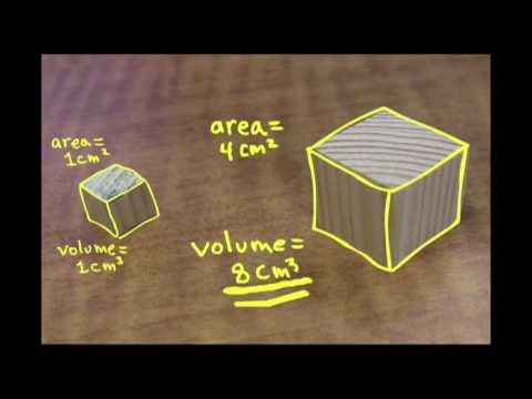 Part of a video titled Small is Mighty: the Square-Cube Law - YouTube