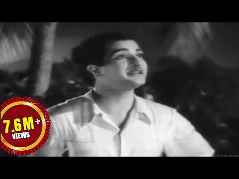 Missamma Movie || Raavoyi Chandamaama Video Song || NTR, ANR, SVR, Savitri, Jamuna