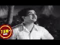 Missamma Movie Raavoyi Chandamaama Video Song NTR ANR SVR Savitri Jamuna