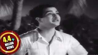 Missamma Movie || Raavoyi Chandamaama Video Song || NTR, ANR, SVR, Savitri, Jamuna