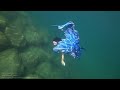 Blue Mermaid Swims By Underwater Mountain Of Boulders In My Miishy Fins Fabric Mermaid Tail