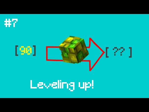 Insane Skyblock Leveling with Zaidex - Episode 7