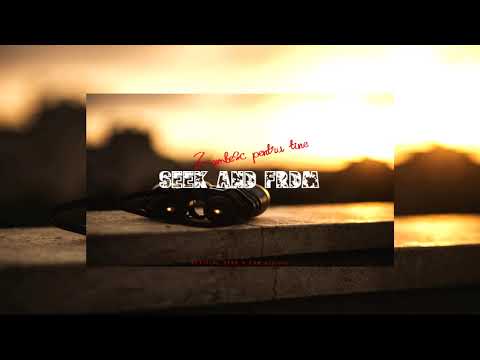 Seek feat. FRDM - Zambesc pentru tine