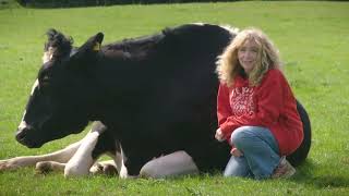 Juliet Gellatley: Help Us Expose the Truth About Dairy