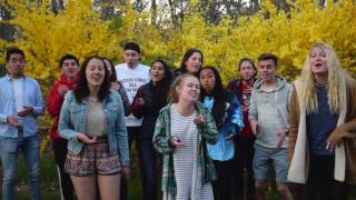 What You Don&#39;t Do - Lianne La Havas (BU Treblemakers A Cappella)