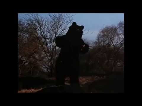 Hercules in New York - Arnold vs the Bear Fight Scene
