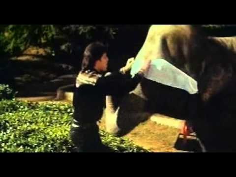 Poster hathi mera yaar