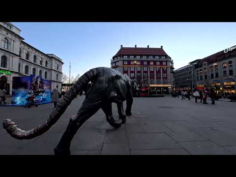 Oslo - En rusletur i Tigerstaden i 4K