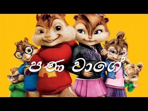 Pana Waage (පණ වාගේ) Song / Chipmunks Version | Shehan Perera