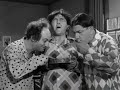 The Three Stooges Schlemeil 8