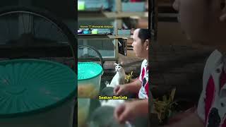 Download lagu This polite and gentle cat asks for food from the ketoprak seller!! mp3