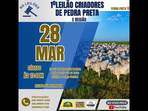1º LEILÃO CRIADORES DE PEDRA PRETA E REGIÃO 28 03 2026 SÁBADO 11:00 HORAS