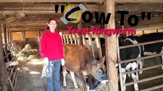 "Cow To" 1: Ringworm