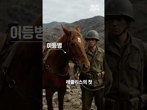 한국 경주마가 미 해병대 부사관이 된 이유