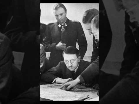 The Fly That Got a Nazi Colonel Fired