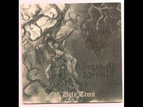 Arkha sva -  Hvt Lr ch Kmch