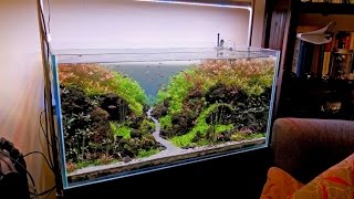 Advanced guide to lighting a planted tank - Choosing light fixtures