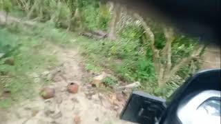 Download lagu Review Makanan Tapi Aku Laper Berat mp3