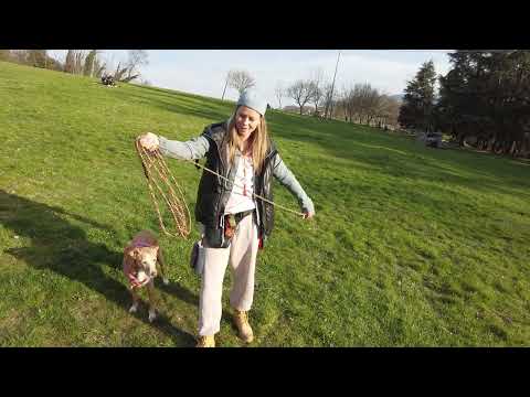 BAT Leinenhandling 2.0