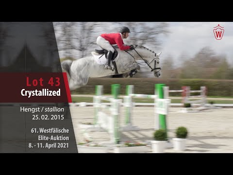 61. Elite-Auktion Trainingsvideo Lot 43 Crystallized Hengst v. Cristallo I - Lancer II