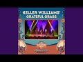 Grateful Grass (Wharf Rat) (Live)