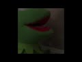 Kermit The Frog Follows His Dreams