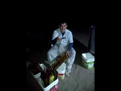 colheita de mel apurado na centrifoga.