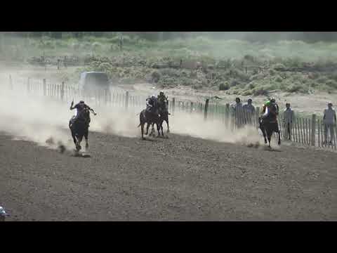 DON KUKY  "Club Hipico Cabo Alarcón"   Picun Leufu    20-11-2022