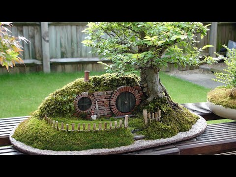Crazy Bonsai designs