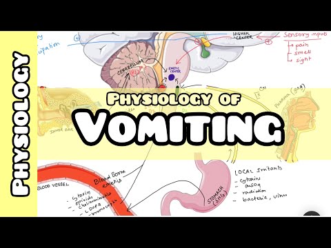 Physiology of Vomiting | Vomiting reflex explained for USMLE, NEET PG, INICET, NCLEX