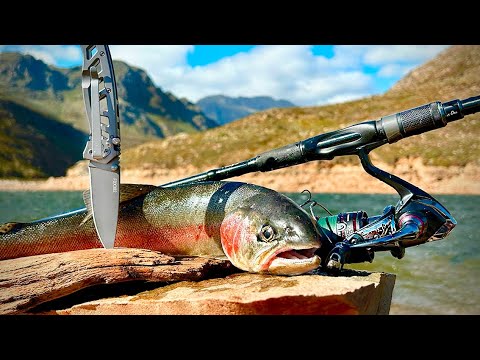 3 Tage Angeln auf wilde Gebirgssee Forellen (Fangen&Essen)