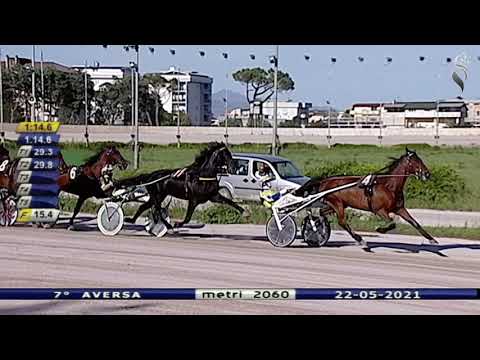 Aversa trotto 22 Maggio 2021 - 7° Corsa