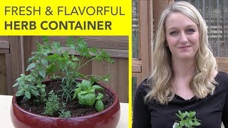 Fresh and flavorful herb container