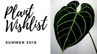 Rare Plant Wishlist | Summer 2019