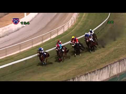13e journée (4e course) : Sacred Flame [D.David] au finish
