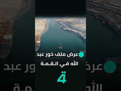 فيديو | النائب سعود الساعدي يطالب بتدويل ملف خور عبد الله وعرضه في القمة العربية المرتقبة