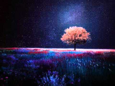 ISOS-2014- Loving on Standby Part 1&2