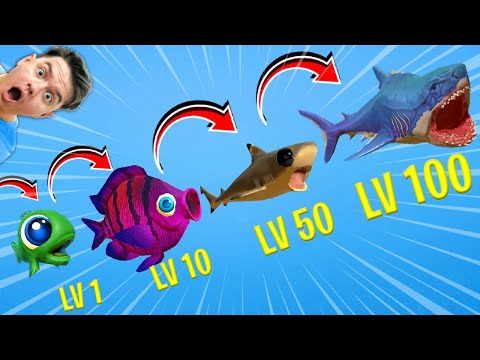 From SMALL FISH to GIANT SHARK