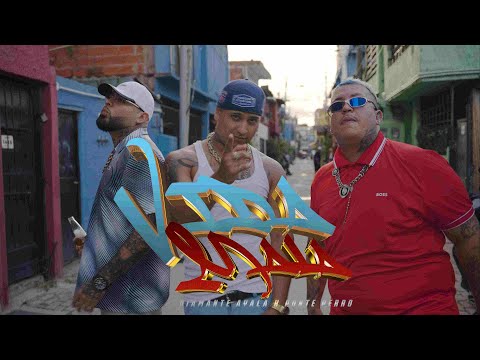 Diamante Ayala, Ponte Perro, Dj Plaga - Vida Mala (Video Oficial)